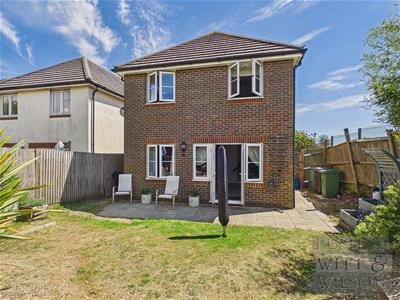 Picture 18